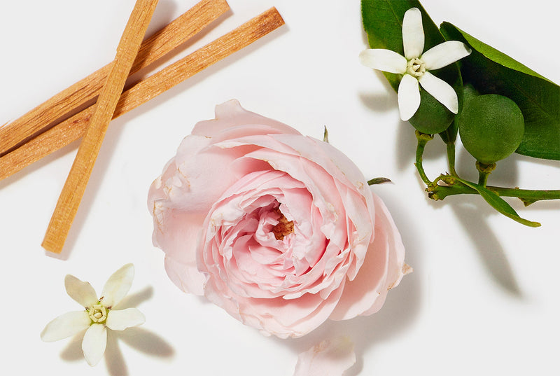 Aroma