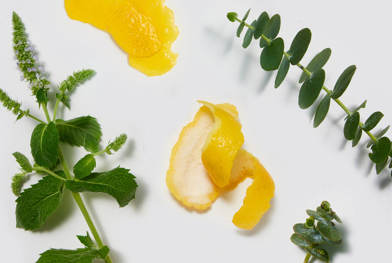 Lemon peels and eucalyptus and mint leaves on a white background